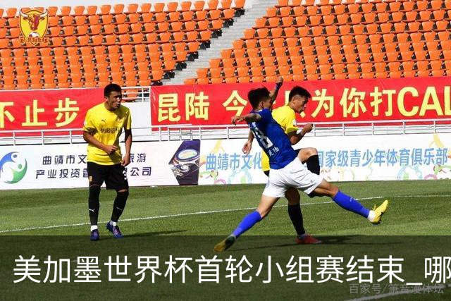 美加墨世界杯首轮小组赛结束 哪支球队最令人失望？